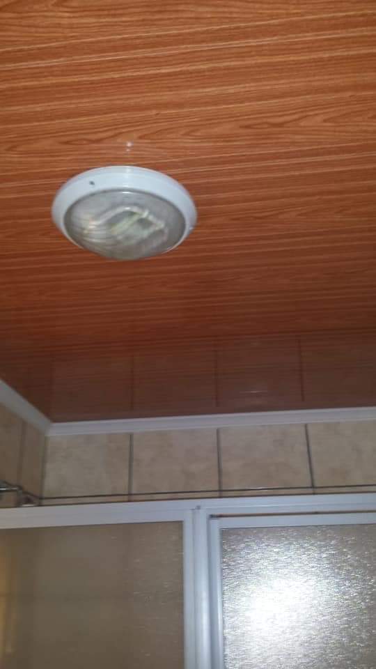 Bathroom Ceiling